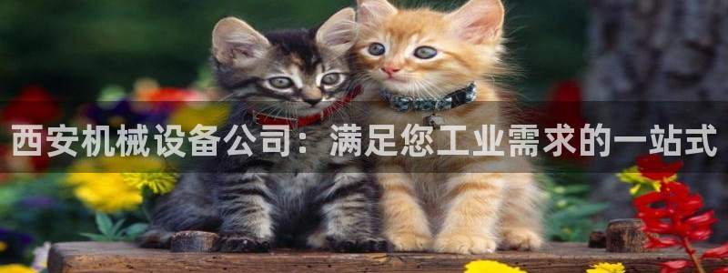 九游会视讯,九游会视讯官网