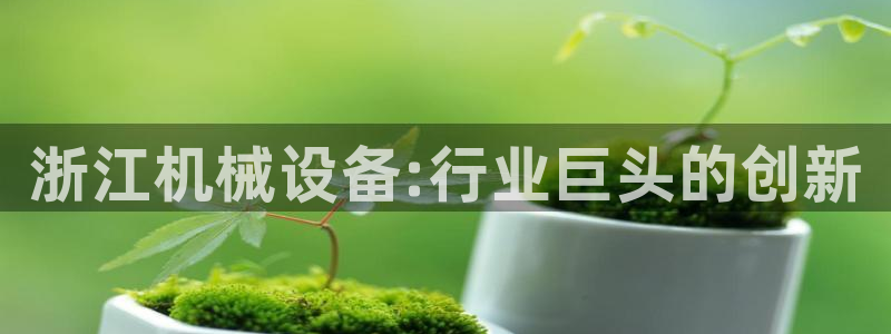 九游会ag老哥