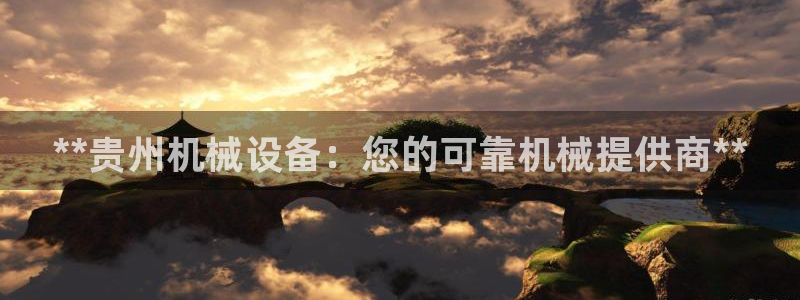 九游会网站打不开了