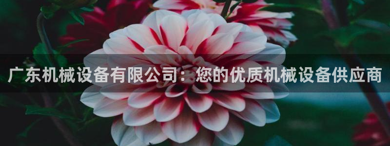 九游会app下载版官网正版安卓