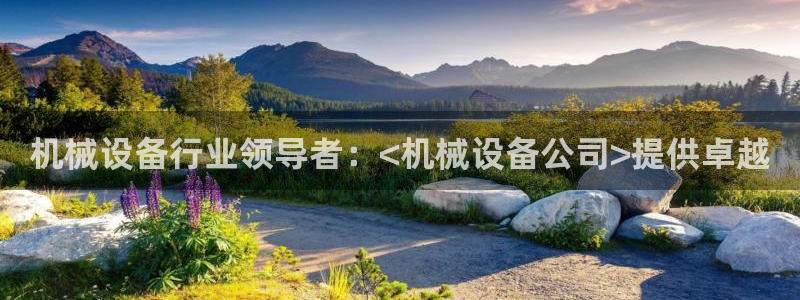 九游会官网ag