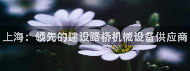 九游会官网客户端