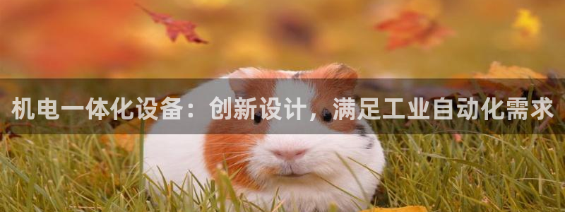 九游会ag老哥