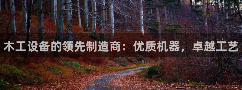 九游会登录网址多少