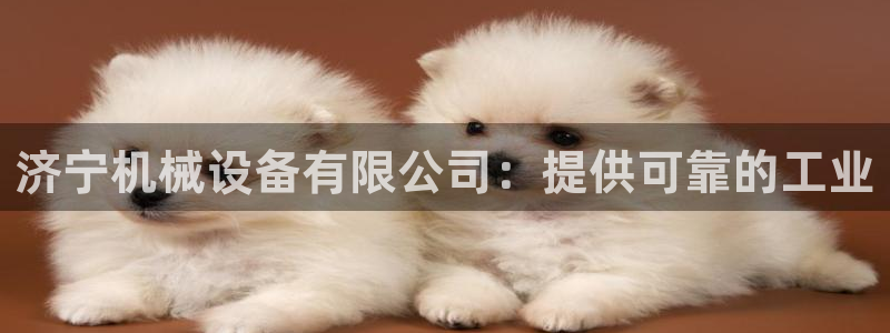 九游会首页进入