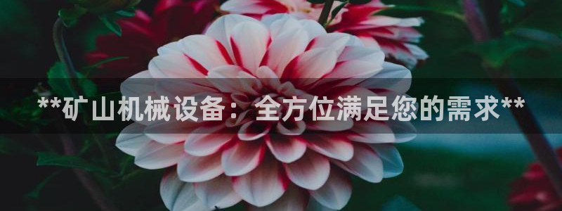J9九游会登陆