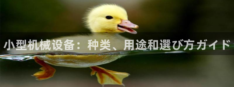 J9九游会首页登录