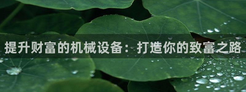 j9九游会会员日