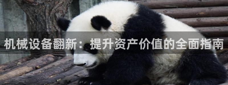 九游会游戏官方登录