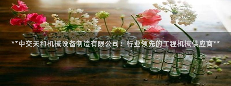 九游会网址是什么情况