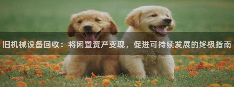 九游会j9官网登陆