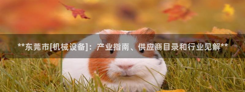 九游会网址入口