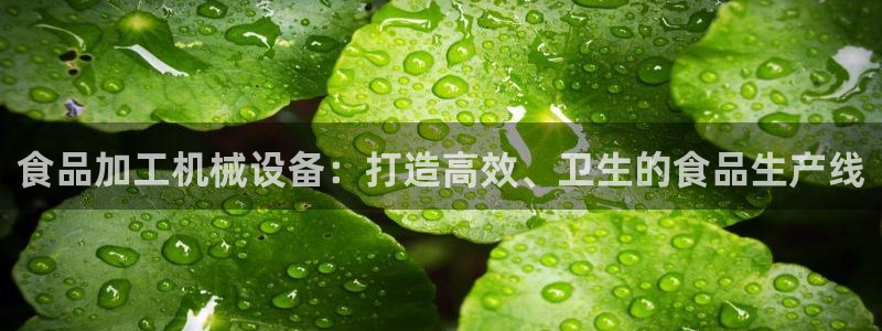 九游会最新网站
