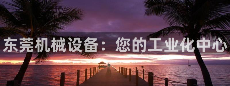 j9九游会怎么样