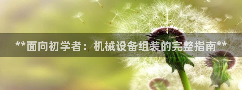 j9九游会真人手机版