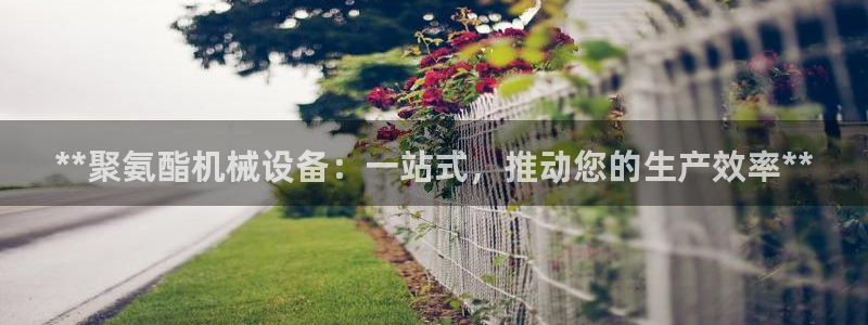 j92019九游会