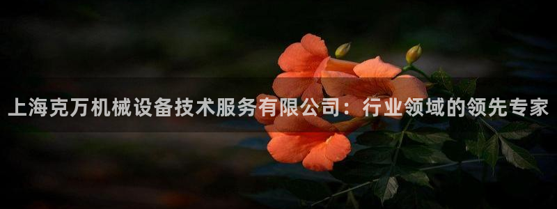 九游会j9官网网站