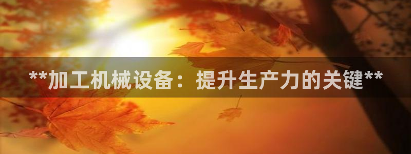 九游会集团货币