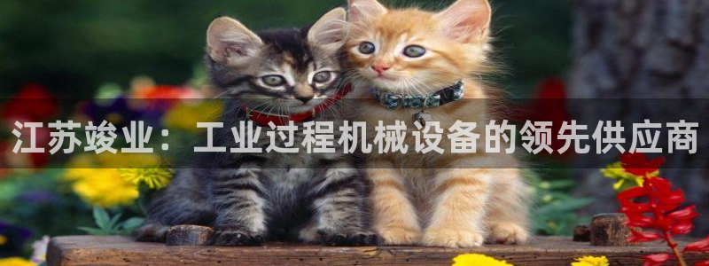 j9.com