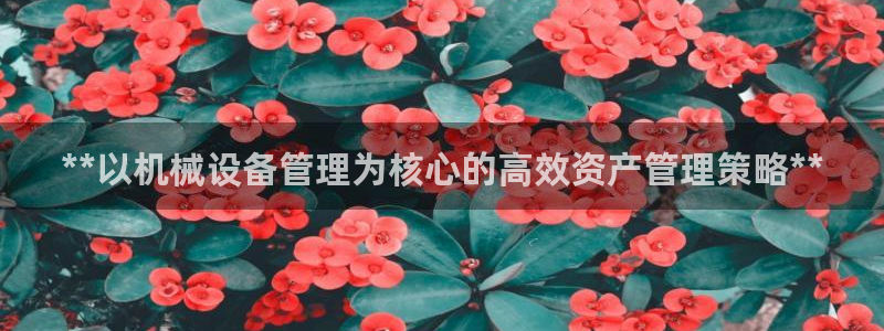 九游会软件