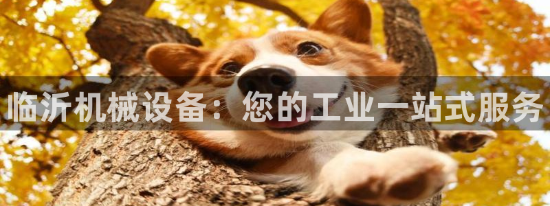九游会怎么了