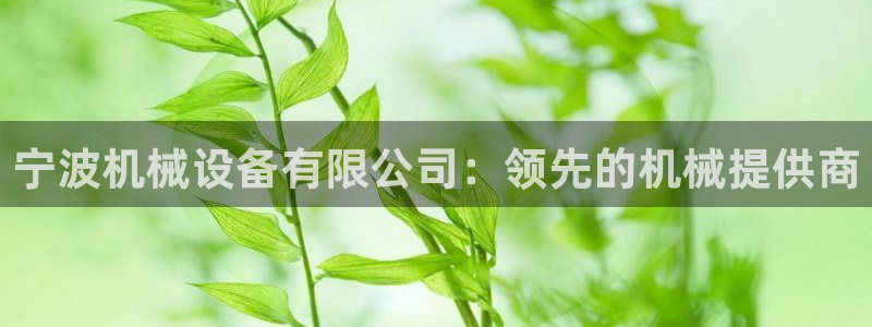 九游会官网真人认证吗