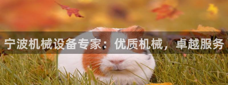 ag九游会