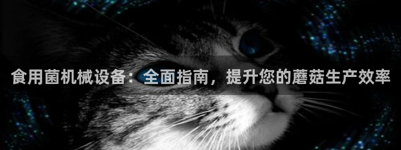 9游会app下载