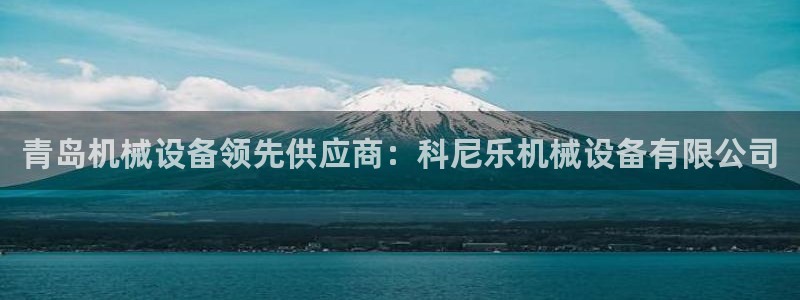 九游会usdt