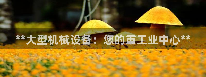 九游会亚洲登录