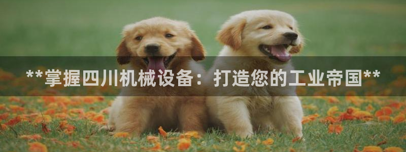 九游会ag网址大全专业版