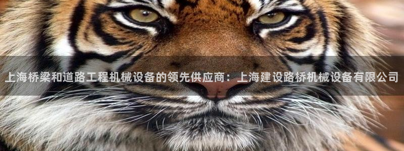 ag九游会j9j9