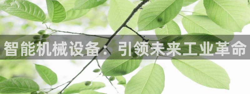 九游会老哥俱乐部