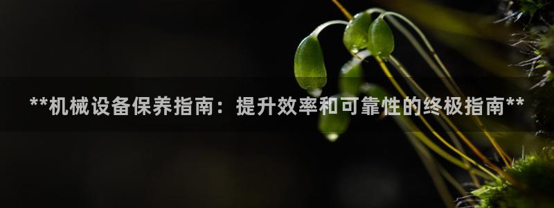 ag8九游会