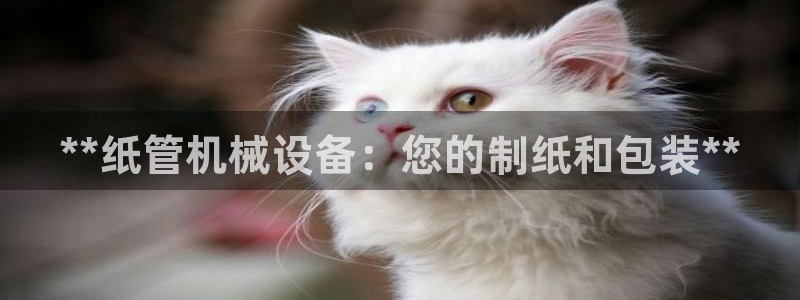 j9九游会老哥俱乐部介绍