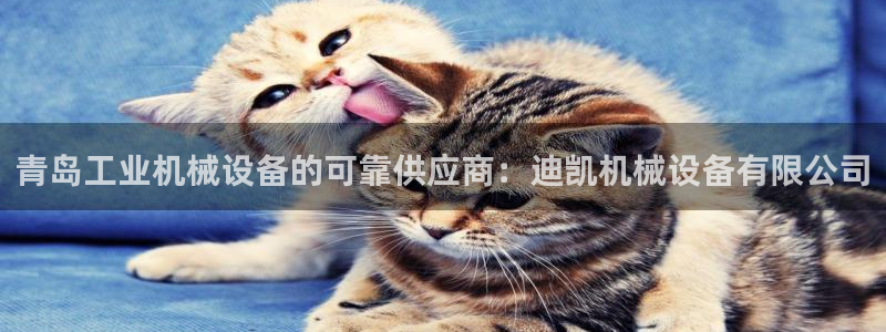 九游老哥俱乐部官方网站