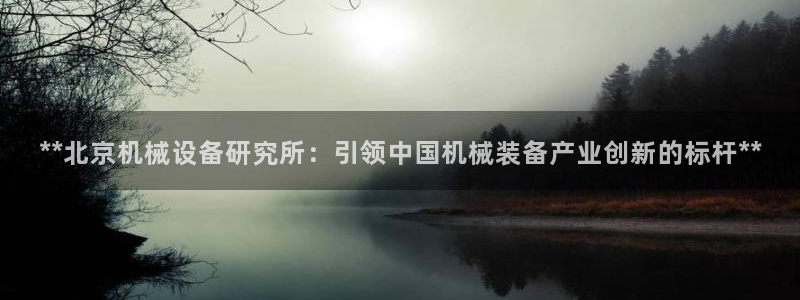 九游会ag老哥