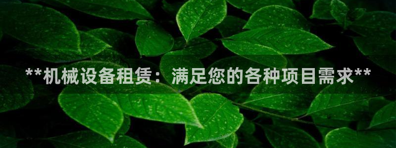 九游会AG下载手机端