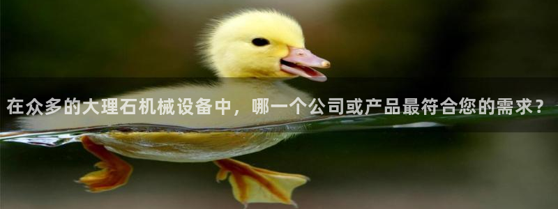 九游会agj9