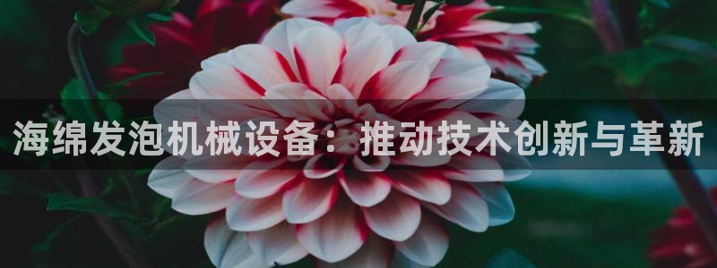九游会大家觉得怎么样