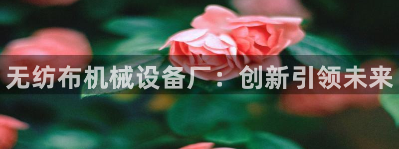 九游会官网真人认证吗知乎