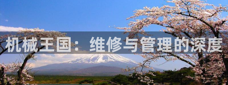 九游会集团国际