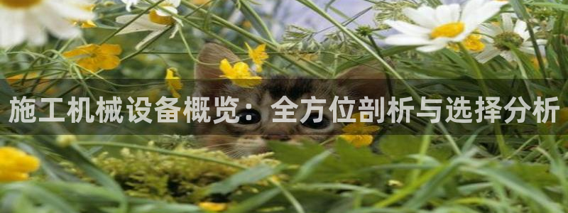 J9九游会官网app