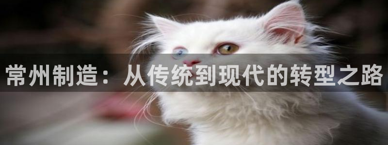 ag九游会登录j9入口