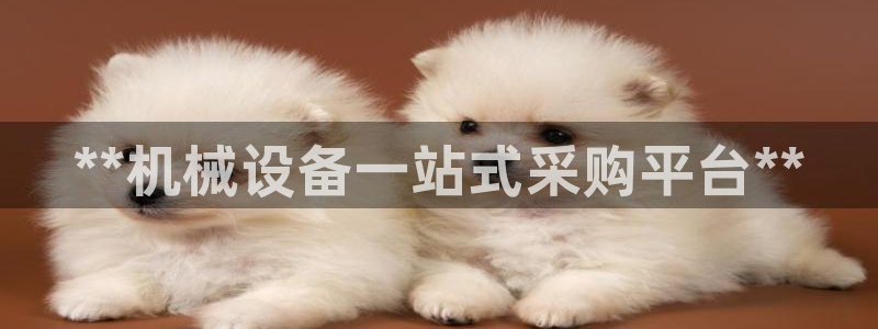 九游会AG注册送388