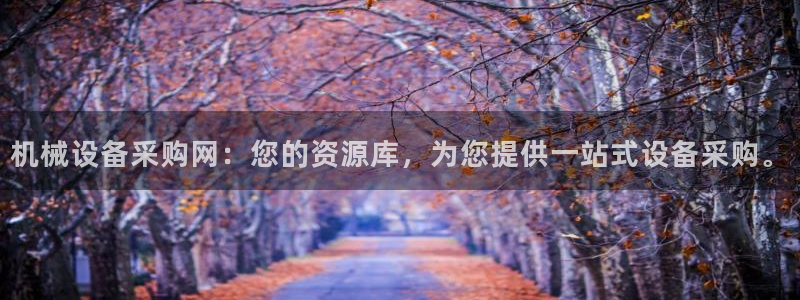 九游会登录网站吗